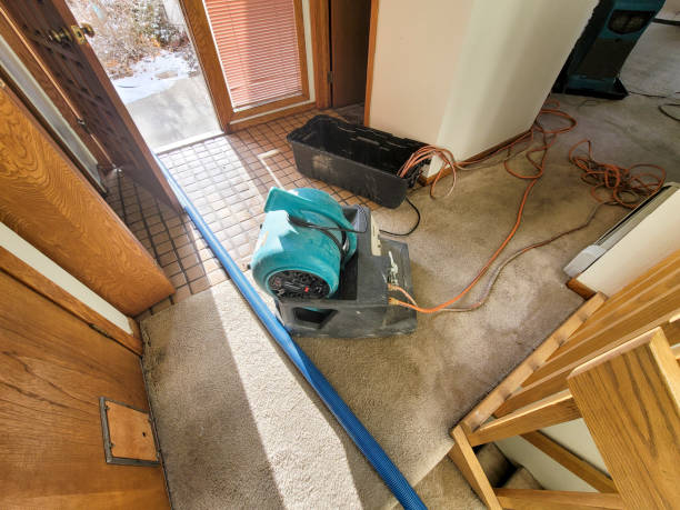 Best 24-hour water damage restoration  in Bing, OR