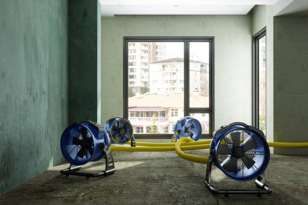 Best Emergency water damage restoration  in Bing, OR